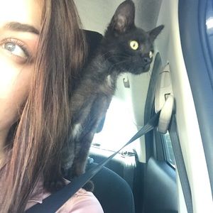 Meet your Posher, Bella